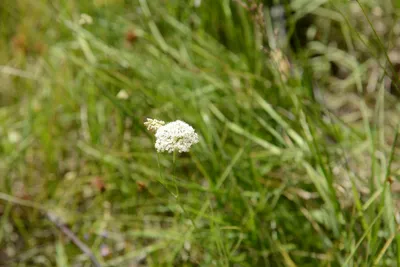 DSC_3573 (Large).JPG